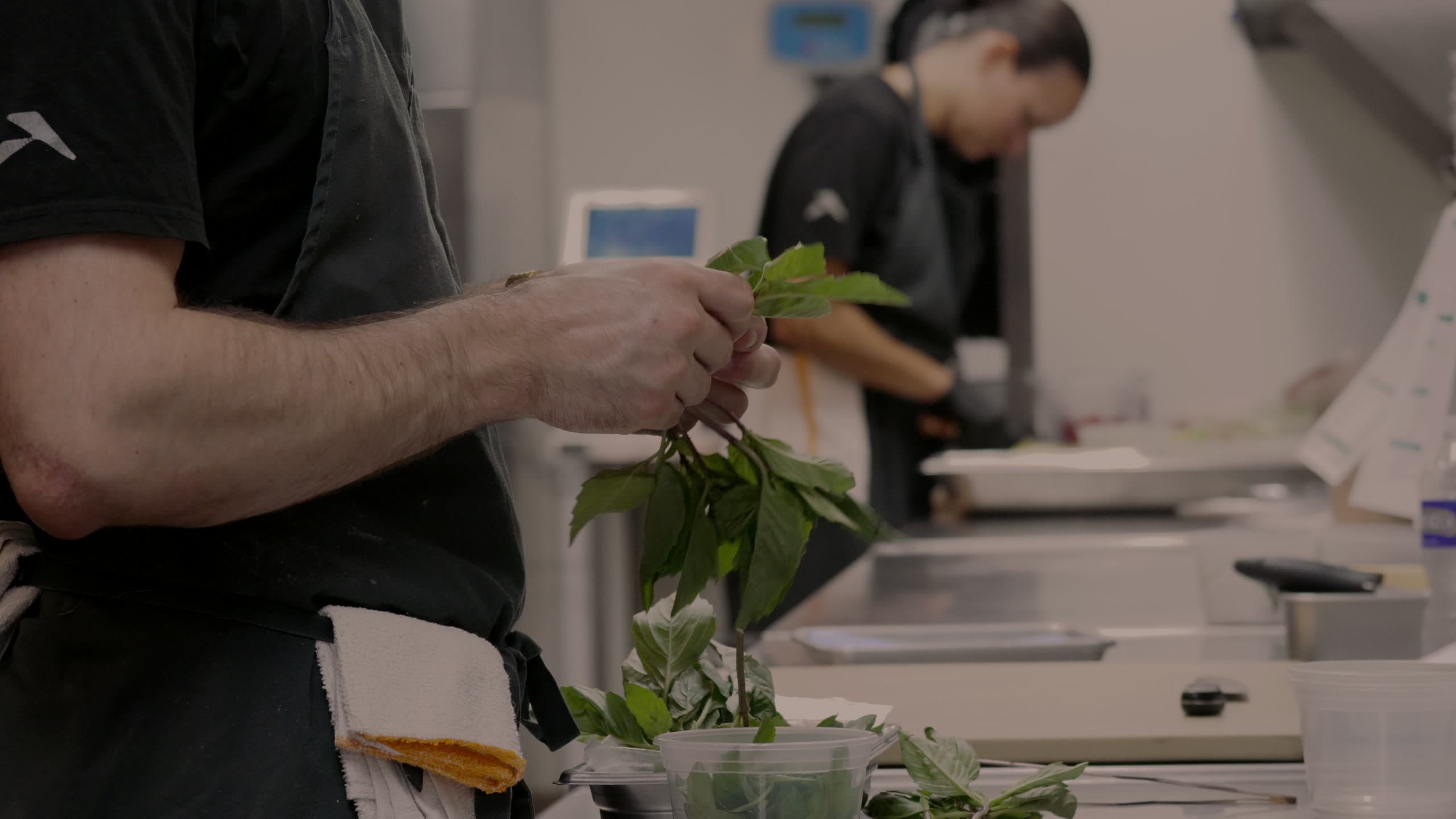An ABLTY chef picking basil leaves from their purple stems over a container of picked herbs, a second cook working the pass behind